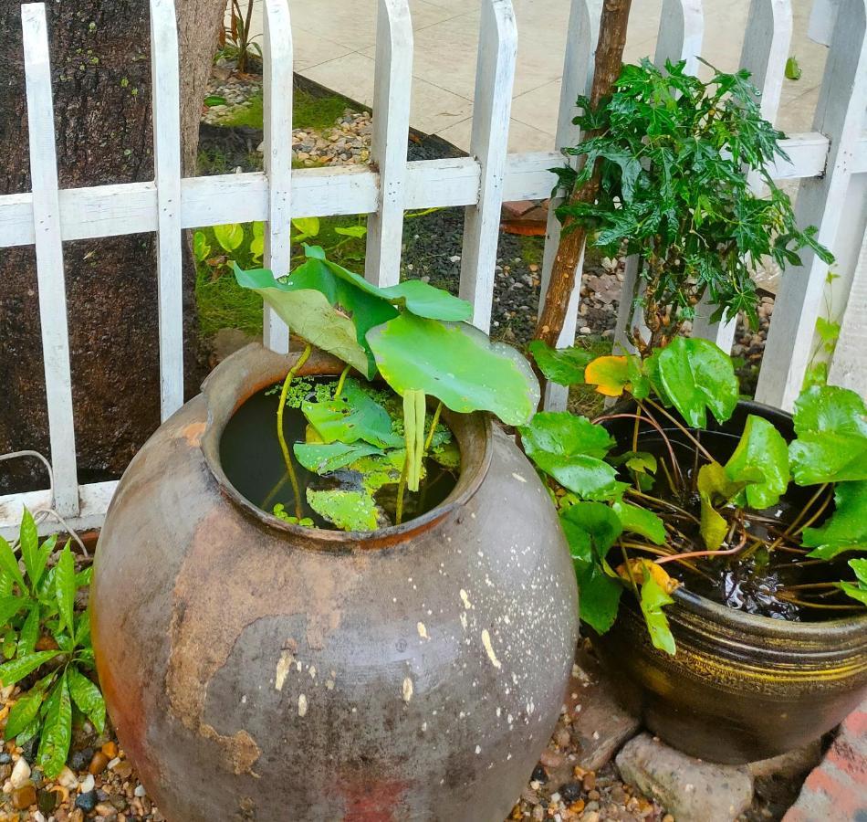 Lotus Corner - Heritage B&B Luang Prabang Exterior foto